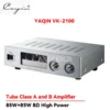 YAQIN VK-2100 High Power Tube Amplifier 85W X 2 Channels StereoHome Audio System Front Gallbladder Rear Stone HiFi Sound Quality