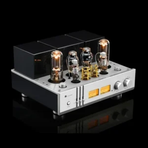 Muzishare X30 High-End Tube Amplifier 300B Push 845 Single-ended Phono Stage Class a Integrated Lamp Amp for Hi-Fi Audio