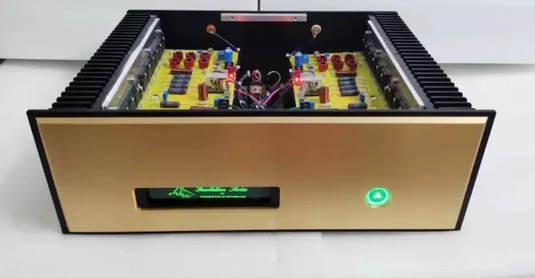 CHUBAN Reference-Grade Swiss FM711 Amplifier 500W*2 RCA Input 2.0 Stereo Pure Power Amplifier Audio Surpassing Dartzeel