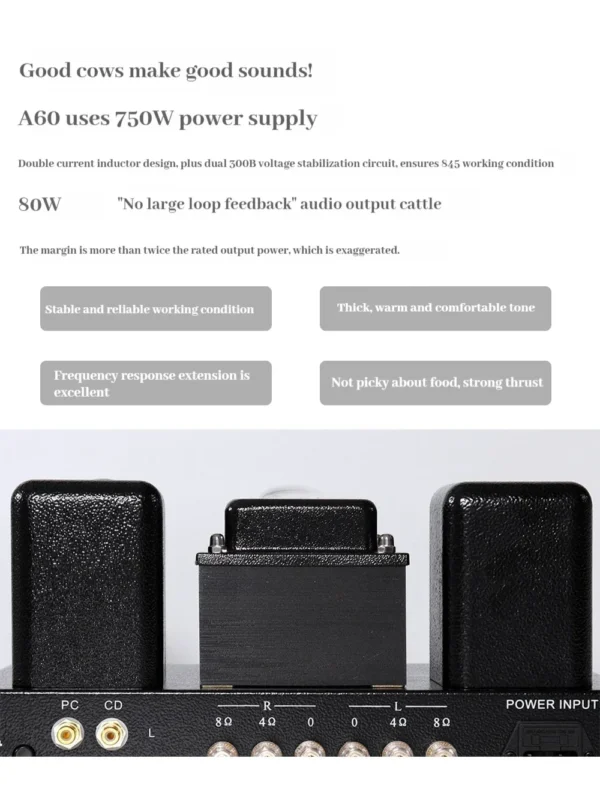 REISONG A60 845 Single-Ended Integrated Tube Amplifier with 845 6N8P 300B Vacuum Tubes, High Power 22W*2, Home Audio