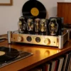 REISONG A50MKIII Newly Upgraded 300B Single-Ended Tube Power Amplifier, Hi-Fi Audiophile Grade, with Balanced Bluetooth Input