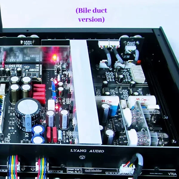 kf-S68764bd52ec5427daf6f76c4c40314faw CHUBAN C300MKII Pure A-tone tube preamplifier with high, mid, and low frequency adjustment, supports Bluetooth with high-fidelit