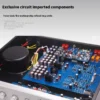 CHUBAN MT-10 Audiophile-grade Field Effect Preamplifier, 1794 Decoder, 5125 Bluetooth Module, with Remote Control, High-Fidelity
