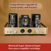 CHUBAN A20MKV KT88 Tube Amplifier, HIFI High-Power Single-Ended Tube Amplifier, Balanced Input VU Meter, with Bluetooth