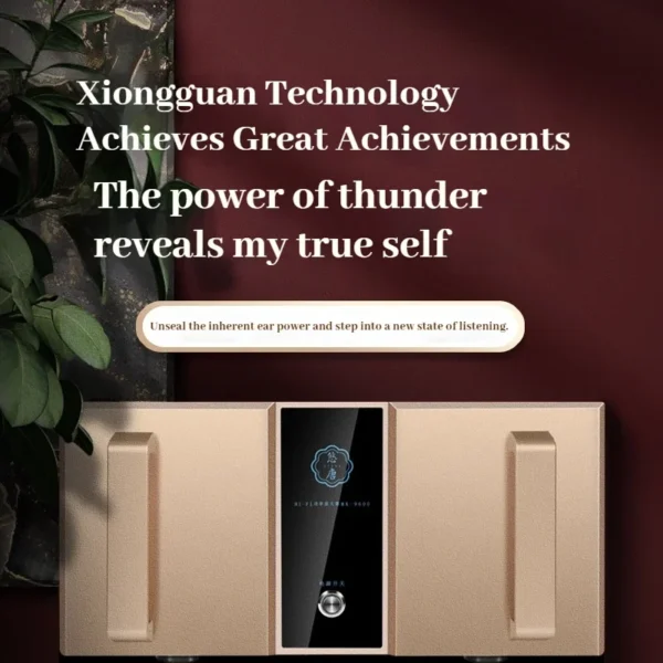 CHUBAN MK9600 Pure Power Amplifier: Audiophile-grade professional high-fidelity, high-power, high-end 200W home audio system.