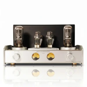 REISONG A60 845 Single-Ended Integrated Tube Amplifier with 845 6N8P 300B Vacuum Tubes, High Power 22W*2, Home Audio
