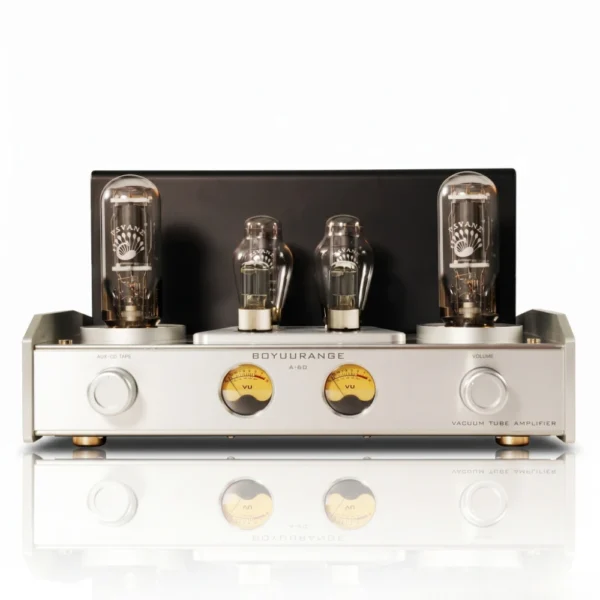 REISONG A60 845 Single-Ended Integrated Tube Amplifier with 845 6N8P 300B Vacuum Tubes, High Power 22W*2, Home Audio