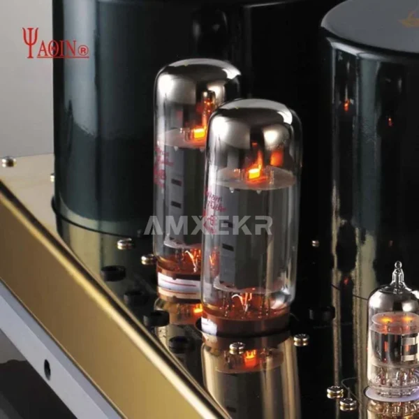 Yaqin MC-10T Vacuum Tube Amplifier 40W x 2 High Power EL34 Vacuum Tube HiFi Push-Pull High-Fidelity Home Audio System