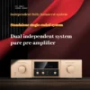 CHUBAN MK9200 Fully Balanced Preamplifier with Tone Adjustment, HiFi High-End Dual-Channel Pure Class A Home Audio System