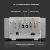 CHUBAN PA-101 Fully Balanced Power Amplifier, HiFi Audiophile Class A MOSFET High-Power High-End Home Amplifier