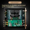 CHUBAN Reference Accuphase MA3000ProAmplifier, HiFi audiophile-grade high power500W with Balanced Input, High-End Home Audio