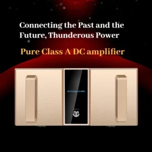 CHUBAN MK9600 Pure Power Amplifier: Audiophile-grade professional high-fidelity, high-power, high-end 200W home audio system.