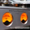 REISONG A60 845 Single-Ended Integrated Tube Amplifier with 845 6N8P 300B Vacuum Tubes, High Power 22W*2, Home Audio