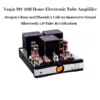 YAQIN MS-20B 40W X 2 Channel Tube Amplifier EL34 Tube Integrated Bluetooth HiFi Push-Pull Home Audio System With remote control