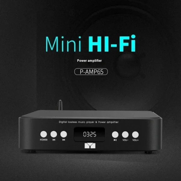 AMXEKR HIFI Digital Audio Amplifier 80W*2 Power Bluetooth 5.0 Music Turntable USB SD Card Input Support IR Remote Control FM