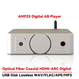AWENHIFI AMP25 Audiophile Dual Balance Power Amplifier Bluetooth 5.0 200W*2