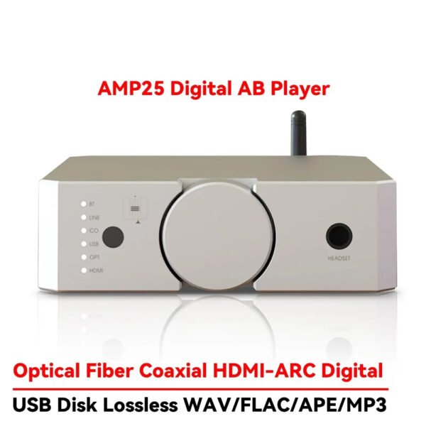 AWENHIFI AMP25 Audiophile Dual Balance Power Amplifier Bluetooth 5.0 200W*2