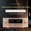 CHUBAN P1000 Reference Accuphase Class AB Integrated Amplifier with XLR/RCA Treb/Bass Adjustment and Remote Control Home Audio