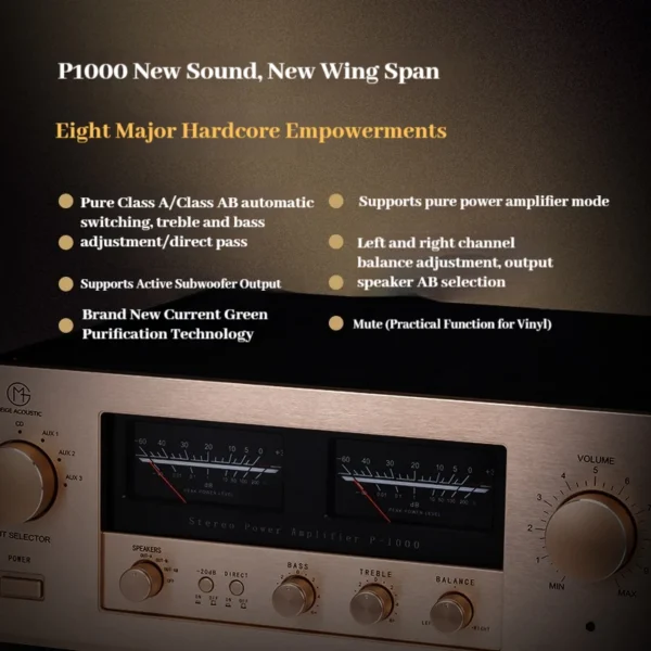 CHUBAN P1000 Reference Accuphase Class AB Integrated Amplifier with XLR/RCA Treb/Bass Adjustment and Remote Control Home Audio